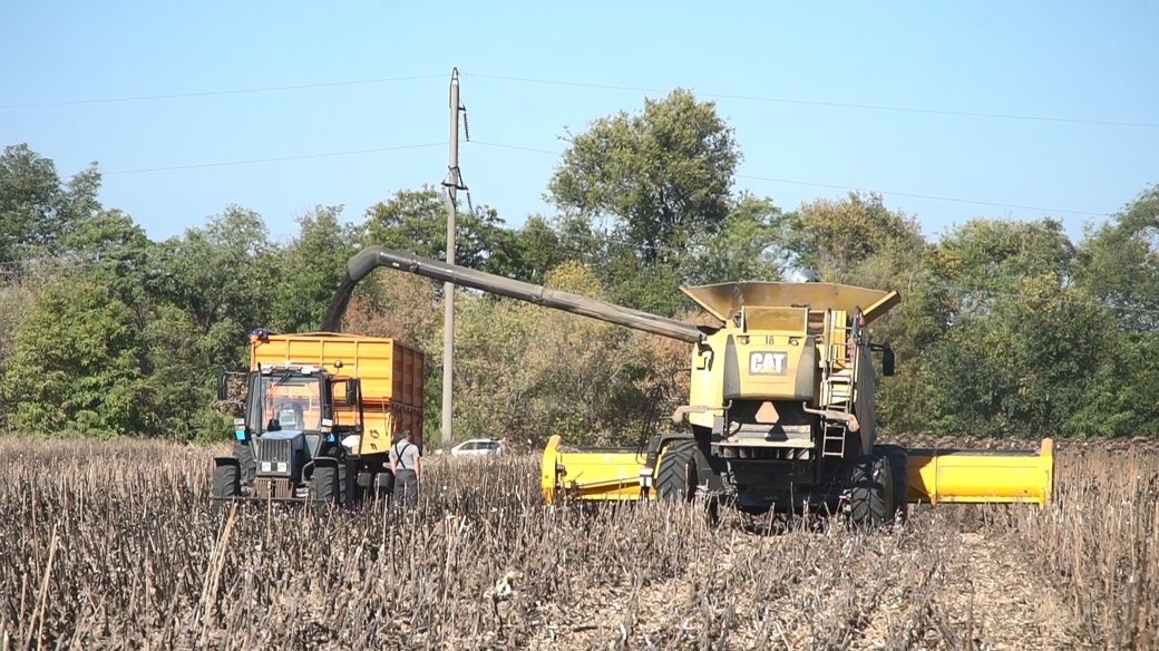 Збір урожаю на Гуляйпільщині