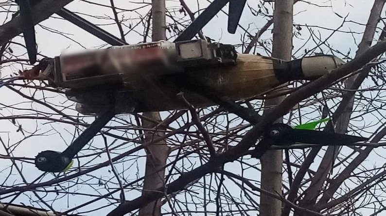 Російський FPV-дрон, який прикордонники "приземлили" на дерево