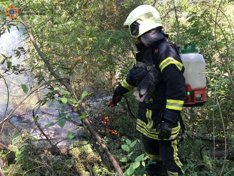 Гасіння пожежі у Запоріжжі